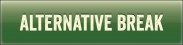 alternative break